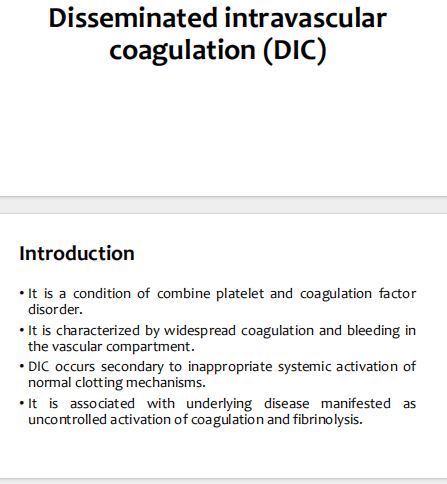 No preview available